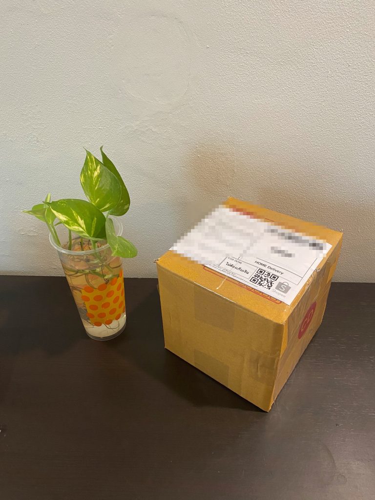 Pack Amazon Alexa Echo Dot